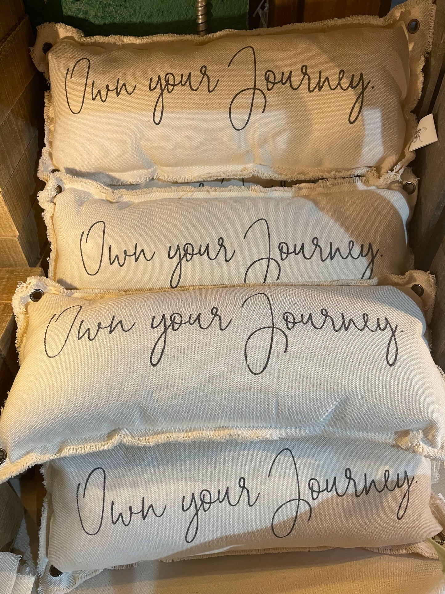 Own your journey pillows